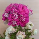 퍼플크라운 이미지