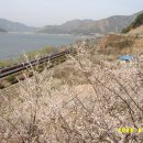 개화마을회관 이미지