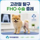 하비동물병원