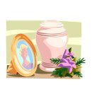 메디보니 이미지