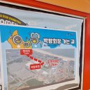 대천해수욕장 머드광장 관광안내소 이미지