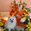 남문카서비스 이미지