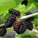 웰빙산업 이미지