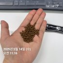 갑상선항진증 예비신부 체중관리ㅣ평생숙명 다이어트 정체기 극복ㅣ부작용 없는 강남 슬림환 2주 복용 후기