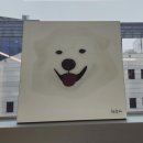 카페기억해줘 이미지