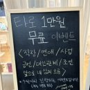 카페인달빛운세