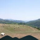 난곡중학교 이미지