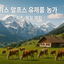 세계로관광농원 Daum카페