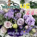 나도 플로리스트 이미지