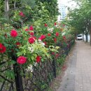 다대2동-3 이미지