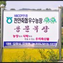 용문목장 이미지