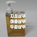 기브미모어 | 지성샴푸 두피케어샴푸 추천 위드비컨 노모어오일 탈모샴푸 후기