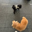 크로스핏헤이 이미지