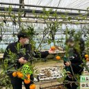 혜명농장 이미지