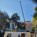 쌍촌동 오월어린이 공원 이미지