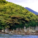 완도 주도 상록수림 이미지