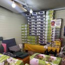 지우농장 이미지