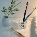 버블팝 | 버블팝 칫솔 솔직 후기, 엠보싱 칫솔로 잇몸 자극 없이 스케일링한 느낌