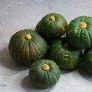 간식 텃밭 만들기 이미지