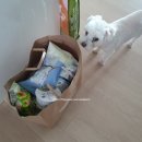 GS25군산경장점 | [GS25 군산경장점] 네이버 지금배달 주문 = 12,250원