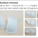 알즈너 점프 대리점 이미지