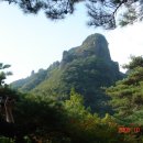 삼명약국 티스토리