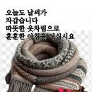 화일지 이미지