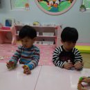 케이크수