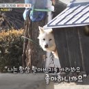 10월 셋째 주