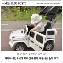 베이비페어36 | 파파야나인 9세대 지바겐 푸쉬카 수원 광교 코베 베이비페어 전시제품 내돈내산 후기