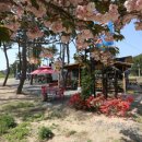 어은돌리솜펜션 이미지