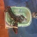 아리하우스 | 6일차 일정 블루성당 위치, 한시장 레트로카페 남하우스카페 /GO마트 /미케비치 스시 맛집 아리스시 후기