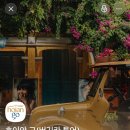 가족 | 베트남 호이안 관광 버기카 투어 5인 가족 후기