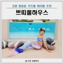 고양 키즈풀 쁘띠풀하우스 11살 3살 아이랑 방문 후기