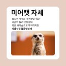 [북부] 단전호흡 B | 하루 종일 일했을 뿐인데... 가슴이 이렇게 변할 줄 몰랐어요,호계동어깨관리후기