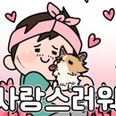 도아헤어 이미지