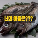 노가리&먹태
