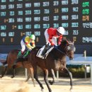 데이파크(1) 이미지