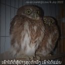 디모데농장 이미지