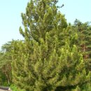 바쁘게 보낸 여름휴가 4박 5일 이미지