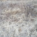 구주령 산채농원 이미지