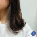 루멘6호 | 연신내 미용실 살롱드루멘 시크릿투톤 염색