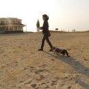 협재 바다의 선물 이미지