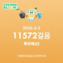 본죽&비빔밥 카페 동군산병원점 | 26년 2월 첫째 주 일상 / 위가 아파서 병원에서 CT찍고 터키쉬앙고라 고양이 산이까지 아파서 유난히...