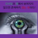 대진대학교 공공정책대학원 이미지