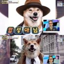인스타 이미지