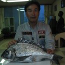 (주)테스터코리아 이미지