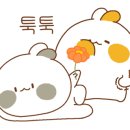 강원장 이미지
