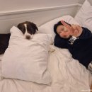 철이네 촌캉스 이미지