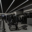 라이노짐 이미지